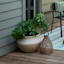 Honeybloom Dawson Polystone Bowl Planter, Medium
