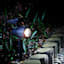 20-Lumen Solar Black Spotlight