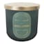 Fig Eucalyptus Scented Jar Candle, 12.5oz