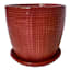 Indoor Picante Red Tulip Ceramic Pot with Saucer, 5"