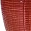 Indoor Picante Red Tulip Ceramic Pot with Saucer, 5"