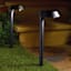 15-Lumen Solar Black Down Pathway Light