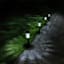 6-Lumen Gunmetal Round Steel Solar Pathway Light