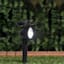 Solar Black Spotlight