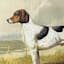 Providence Glass Framed Fox Hound Print Wall Art, 32x26