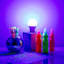 Blacklight UV LED Bulb