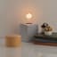 Star Shaped LED Bulb