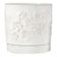 Indoor Dahlia White Pot, Medium