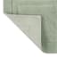 Honeybloom Racetrack Desert Sage Bath Rug, 17x24