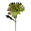 Willow Crossley Green Real Feel Chrysanthemum Floral Stem, 12"