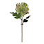 Willow Crossley Green Real Feel Chrysanthemum Floral Stem, 12"