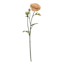 Willow Crossley Pink Fabric Real Feel Ranunculus Floral Stem, 22"