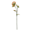 Willow Crossley Pink Fabric Real Feel Ranunculus Floral Stem, 22"