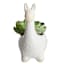Indoor Rustic White Llama Ceramic Pot, 5"