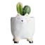 Indoor Ceramic Cat Pot, 5.6"
