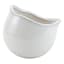 Indoor Lotus White Pot, Medium