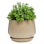 Indoor Grey Round Ceramic Pot with Saucer, Small