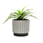 Crosby St. Indoor Black & White Stripe Planter, Small