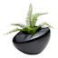 Crosby St. Indoor Black Jellybean Planter, Small