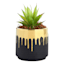 Crosby St. Indoor Gold Drip Black Planter, 4.7"