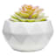 Crosby St. Indoor White Geometric Planter, 6.7"