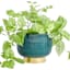 Found & Fable Indoor Emerald & Gold Dean Planter, 9.3"