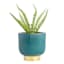 Found & Fable Indoor Emerald & Gold Dean Planter, 6"