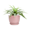 Indoor Pink Beehive Ceramic Pot, Small