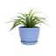 Indoor Blue Beehive Ceramic Pot, Small