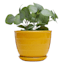 Indoor Yellow Ceramic Beehive Pot, Small