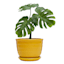 Indoor Yellow Beehive Ceramic Pot, Small