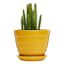 Indoor Yellow Beehive Ceramic Pot, Extra Small