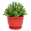 Indoor Red Beehive Ceramic Pot, Small