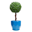 Indoor Hexa Blue Ceramic Pot, Small