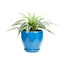 Indoor Hexa Blue Ceramic Pot, Small