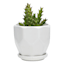 Indoor Hexa White Ceramic Pot, Extra Small