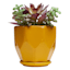 Indoor Hexa Yellow Ceramic Pot, Small