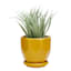 Indoor Hexa Yellow Ceramic Pot, Extra Small