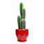 Indoor Hexa Red Ceramic Pot, Small