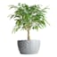 Crosby St. Grey Herringbone Ceramic Outdoor Planter, Large