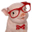 Pig with Glasses & Bowtie Outdoor Garden Statue, 12"