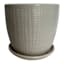 Indoor Tulip Pot, Cream