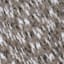 Brown Space Dyed Bath Rug, 20x30