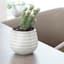 Indoor Ivory Beveled Ceramic Pot, Extra Small