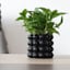 Crosby St. Indoor Black Bubble Ceramic Pot, Medium