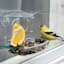 Window Cling Bird Feeder, Clear