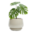 Indoor Grey Round Ceramic Pot with Saucer, Small