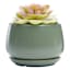 Indoor Sage Round Ceramic Pot with Saucer, Small