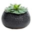 Crosby St. Indoor Black Textured Bowl Pot, 7"