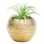 Crosby St. Indoor Gold Round Textured Planter, 5"